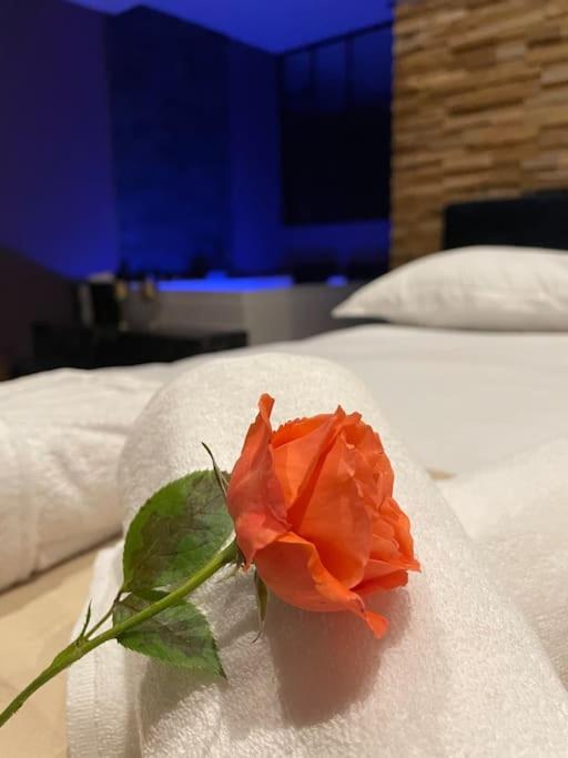 Le Cocon Des Granges - Suite Sauna Jaccuzi Spa Bonnieres-sur-Seine Ngoại thất bức ảnh